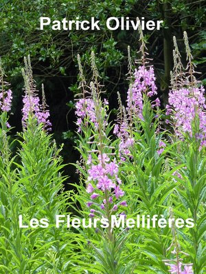 cover image of Les Plantes Mellifères